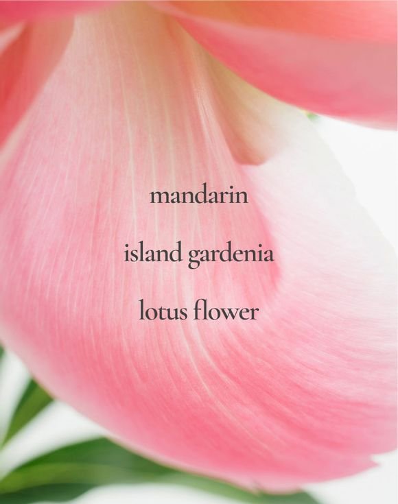 LYRD Coastal Lotus Eau de Parfum 2 LYRD Coastal Lotus Eau de Parfum - Image 2