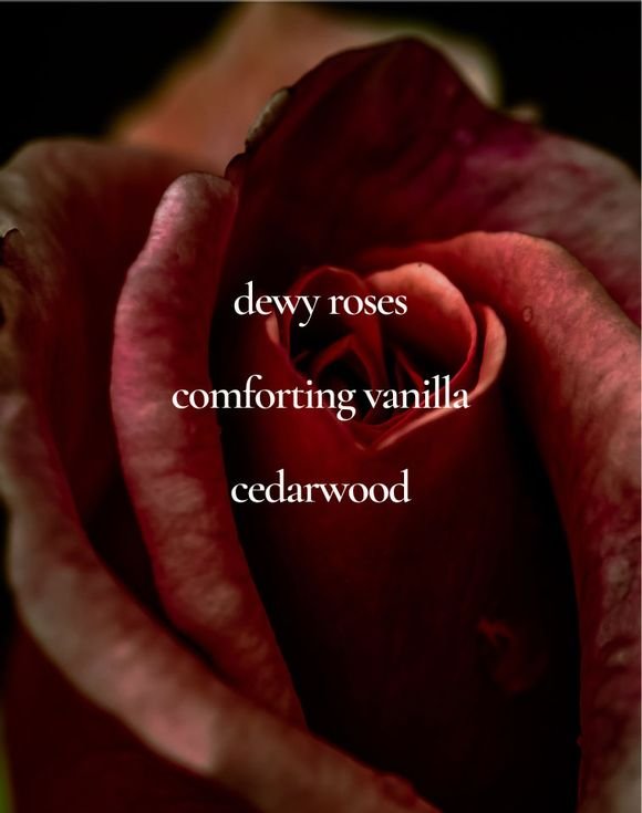 LYRD Vanilla Rose Eau de Parfum 2 LYRD Vanilla Rose Eau de Parfum - Image 2