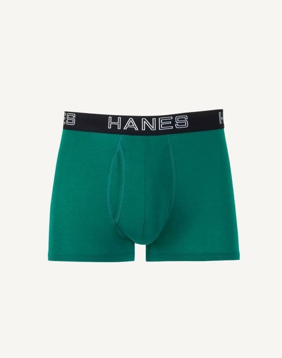 Hanes Ultimate® Comfort Flex Fit Total Support Pouch Men's Trunk Underwear, Assorted, 4-Pack (UFSTA4) 1 Hanes Ultimate® Comfort Flex Fit Total Support Pouch Men's Trunk Underwear, Assorted, 4-Pack (UFSTA4)