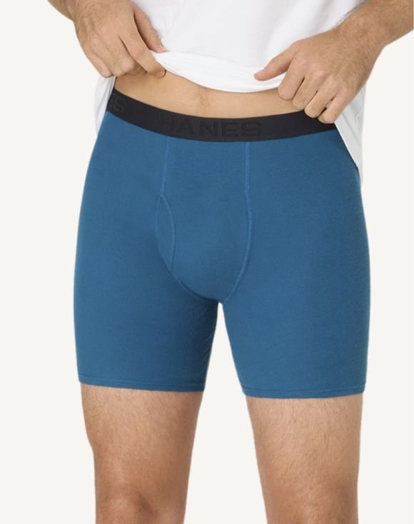 Men's Hanes® Ultimate 4-Pack ComfortSoft® Boxer Briefs Underwear (769TA4) 2 Men's Hanes® Ultimate 4-Pack ComfortSoft® Boxer Briefs Underwear (769TA4) - Image 2